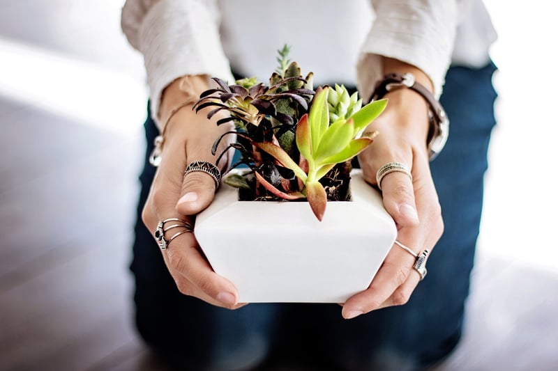Spring Planting